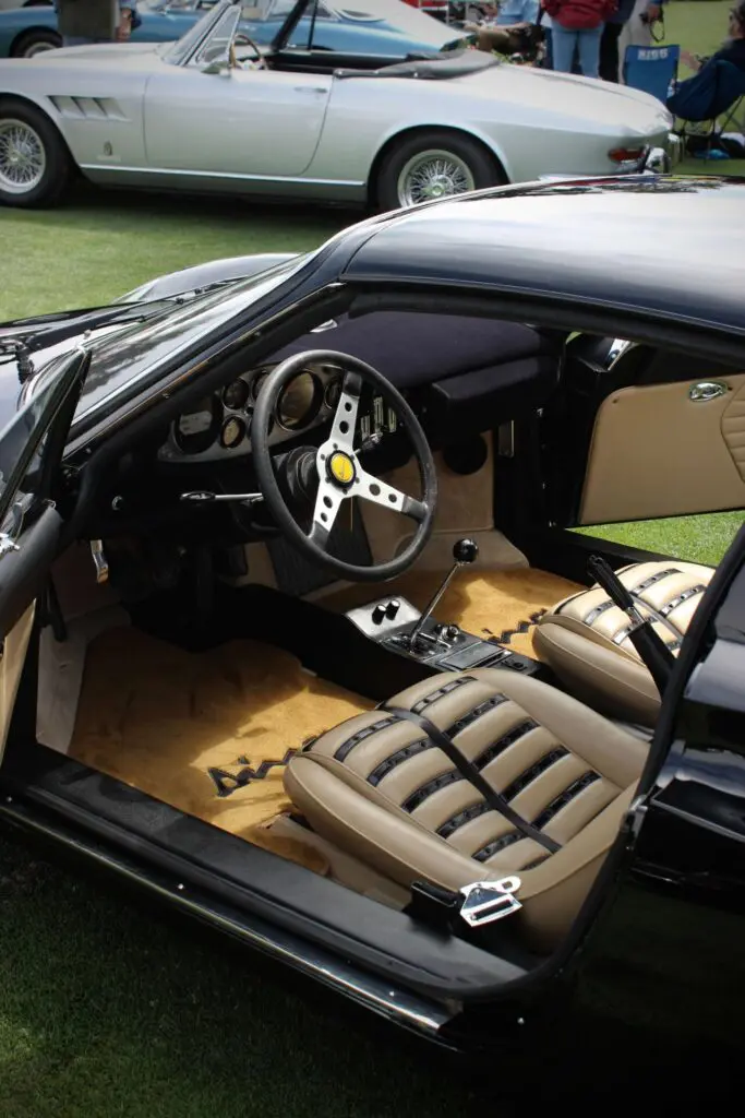 The Interior of a Dino