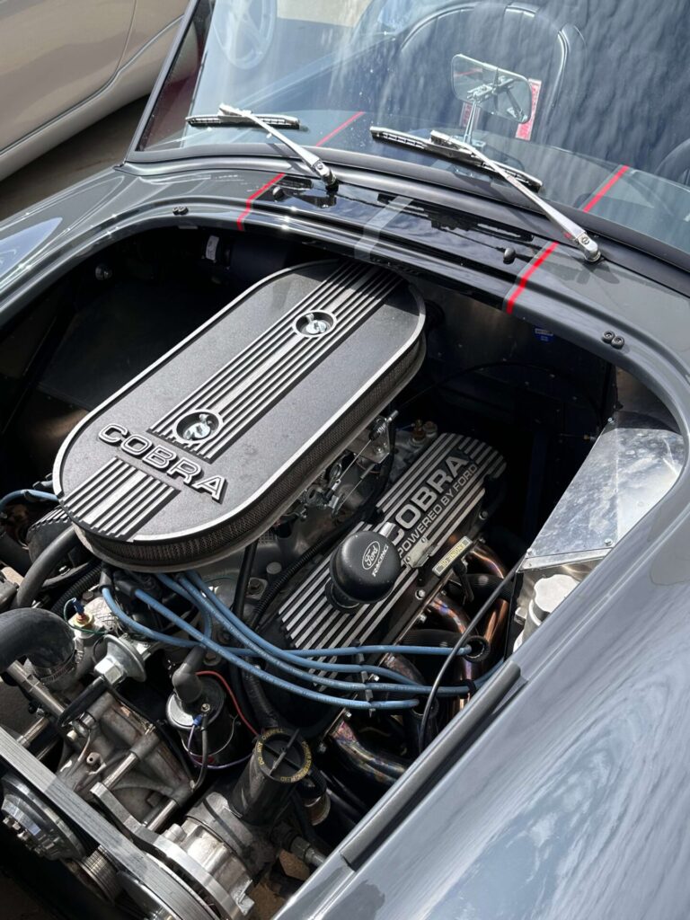 Cobra engine picture in a car