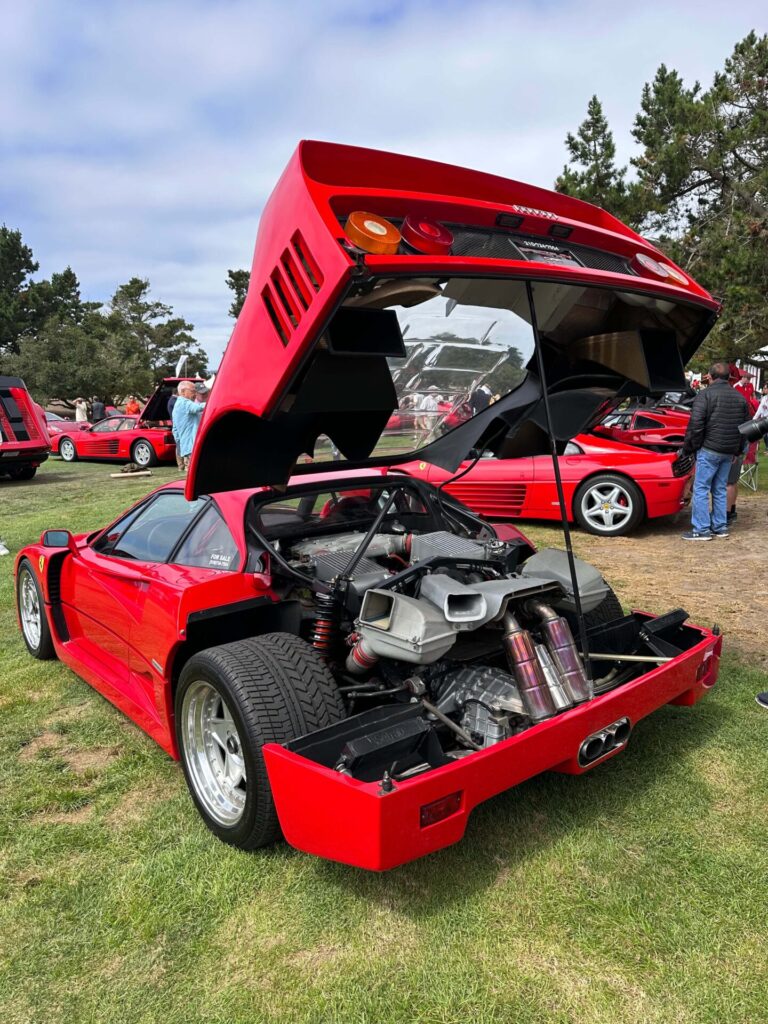 The hood of a Ferrari F40 is raised to show the car's engine. The red car is pictured amongst other red cars.